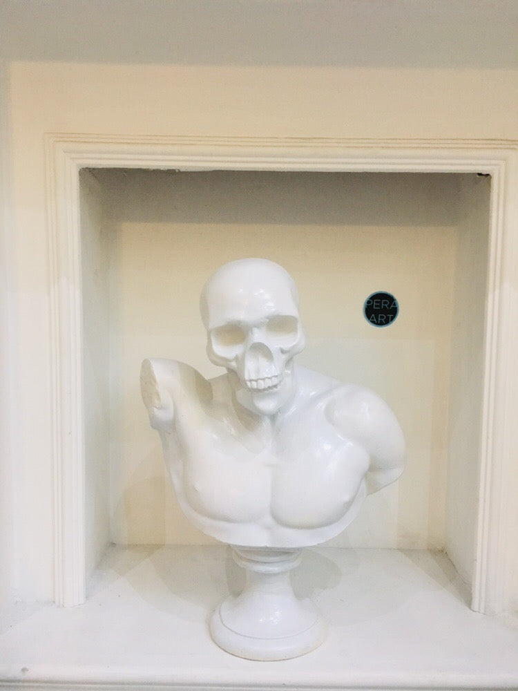 Design Skull Bust