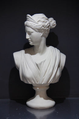 Diana Büst