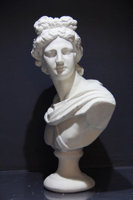 Apollo Büst 4
