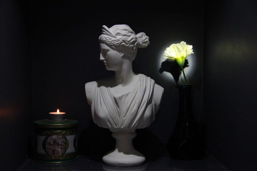 Diana Büst