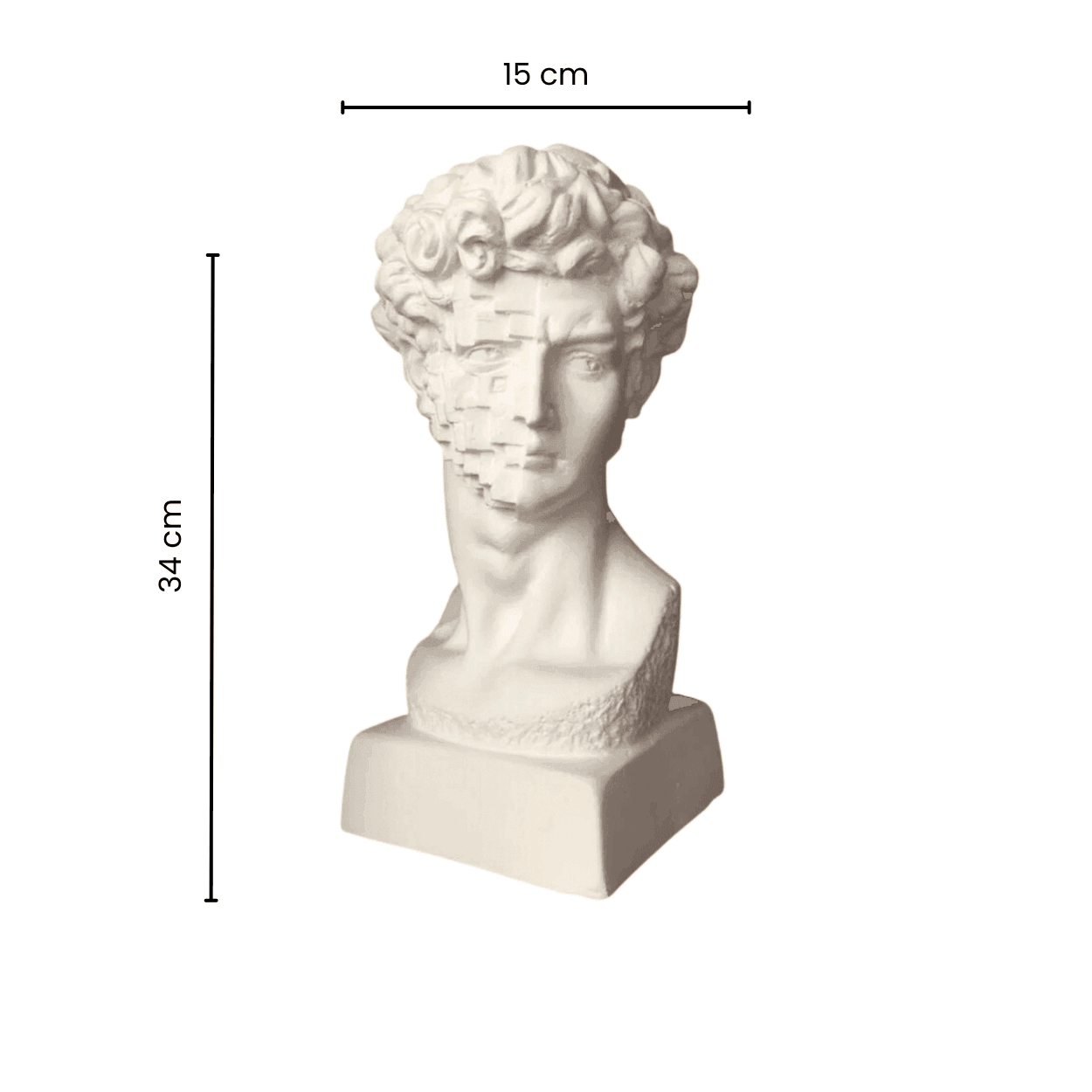 Design David Bust - Pixels Face Sculpture - vinterro