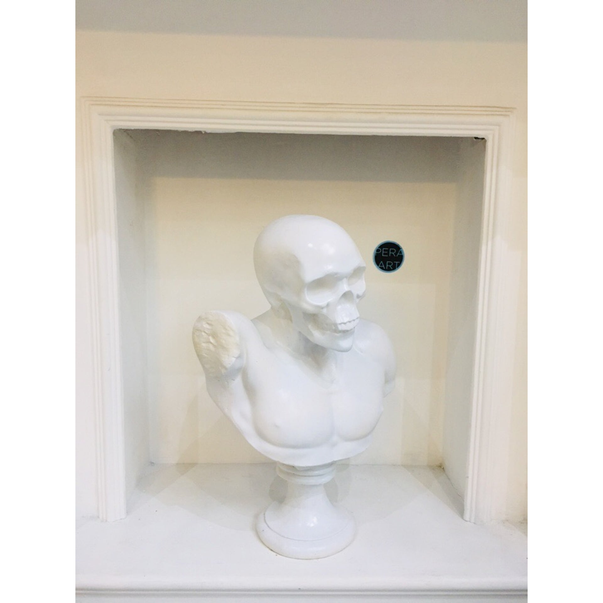 Design Skull Bust