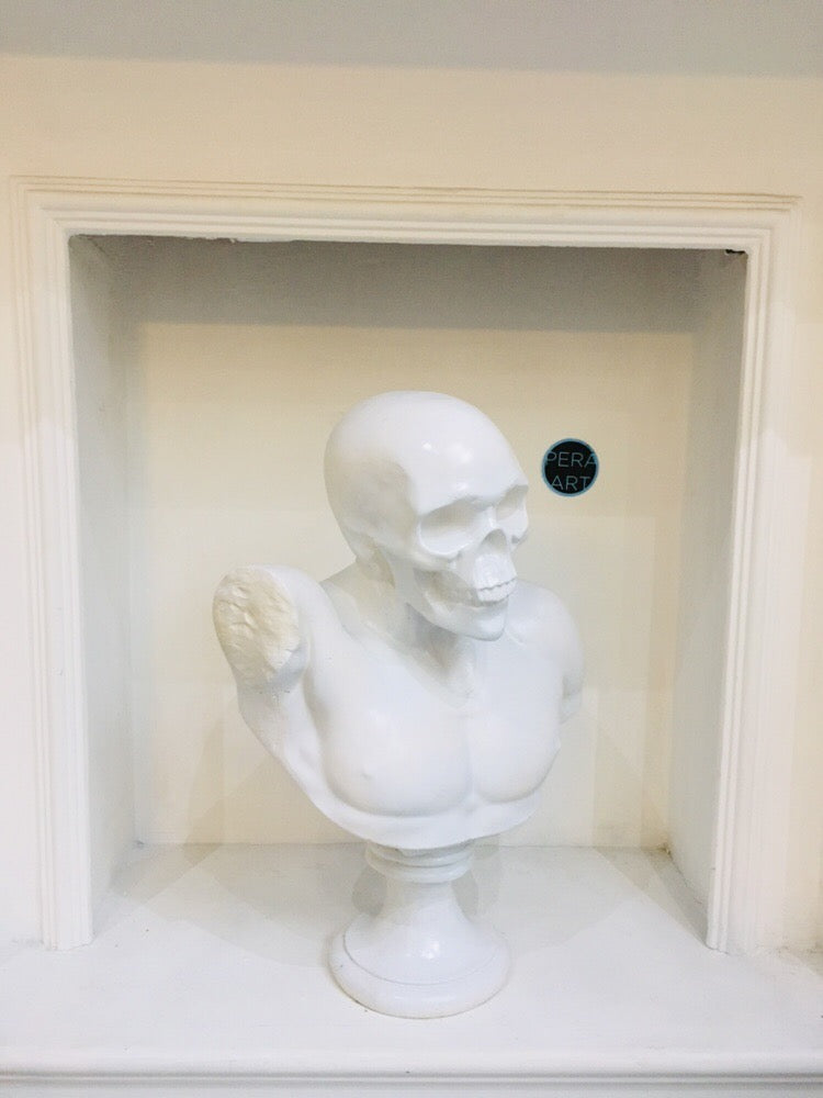 Design Skull Bust