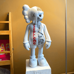 Supreme Organ Kaws - vinterro