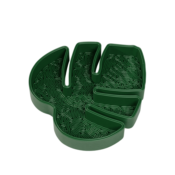 Monstera Leaf Jewelry Tray