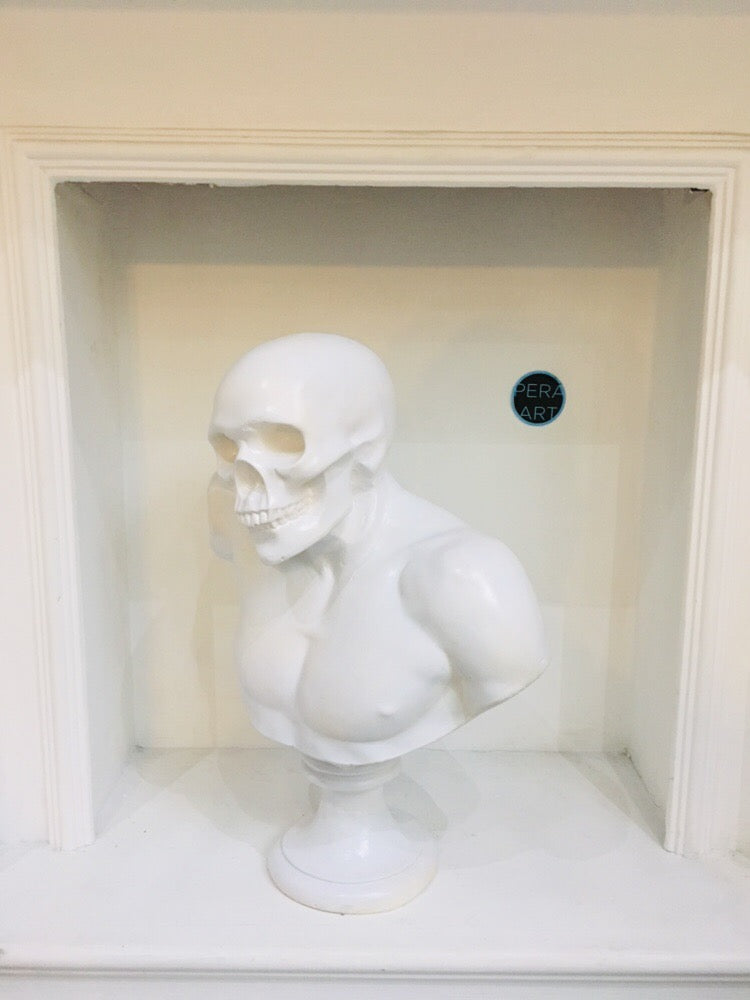 Design Skull Bust