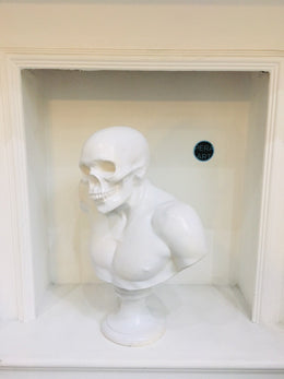 Design Skull Bust