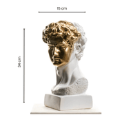 Gold David 2 - vinterro
