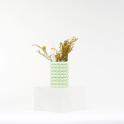 PORCUPINE VASE - vinterro