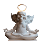 Yoga Skull - vinterro