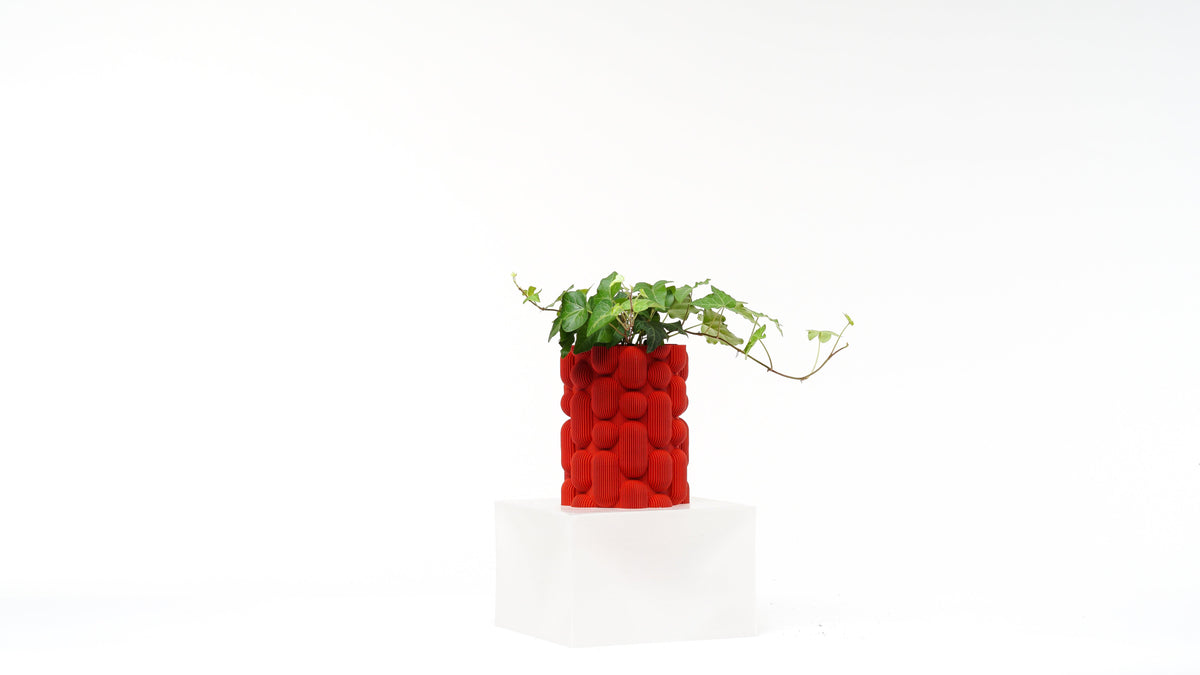 Lava Vazo - vinterro