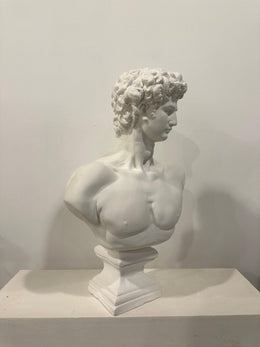 David Büstü3