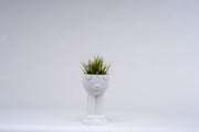 Paw Pot - vinterro