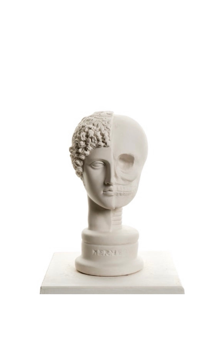 Design Hermes Skull