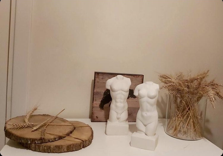 Minik Tors Seti