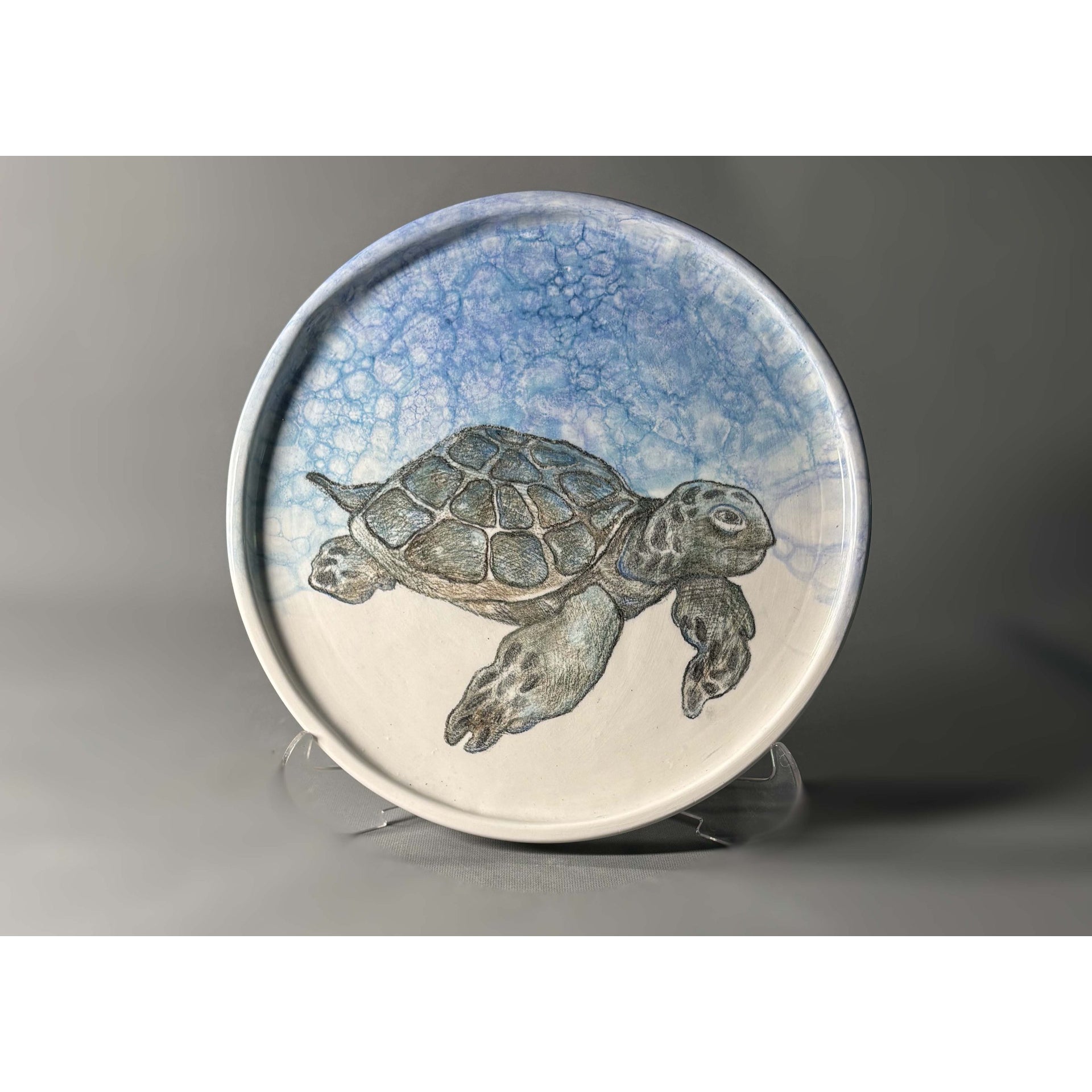 Turtle Plate | Drag&Drop