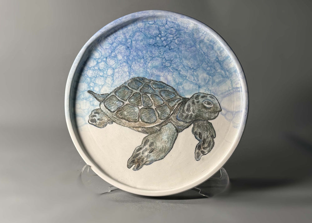 Turtle Plate | Drag&Drop