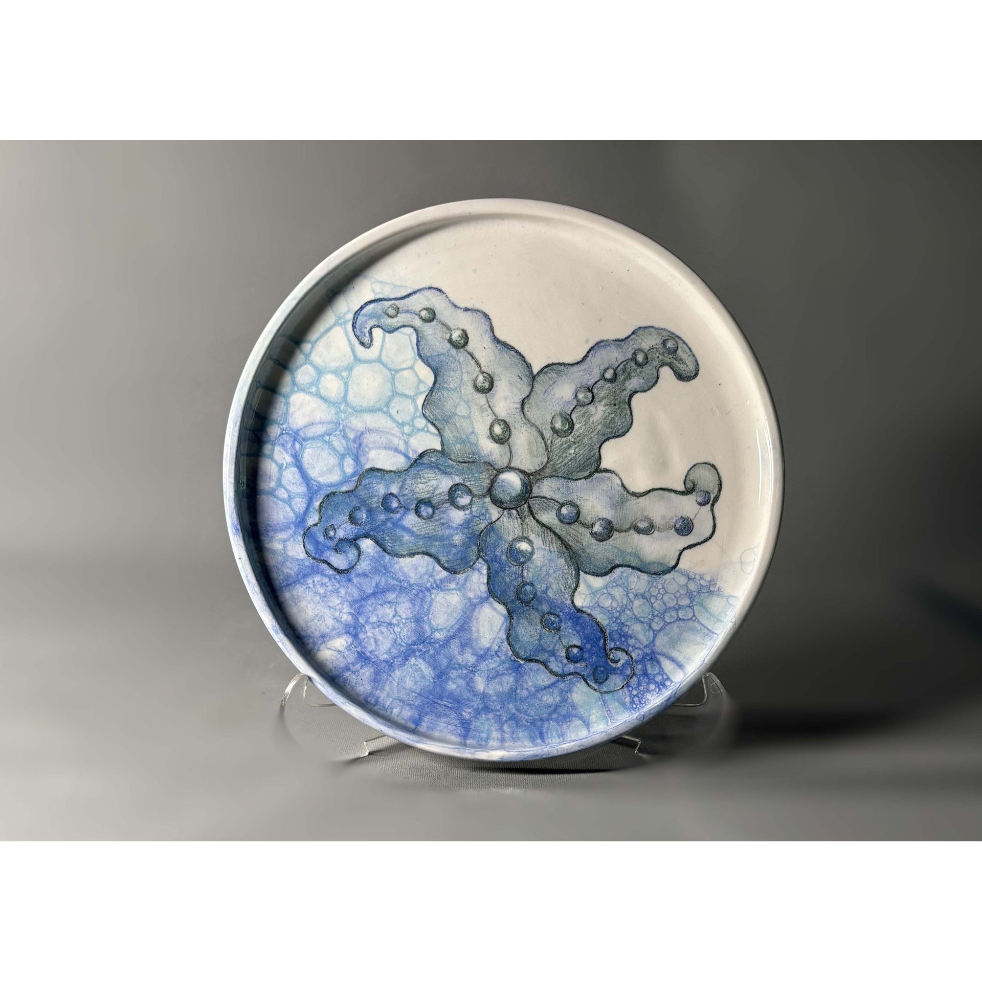 Starfish Plate | Drag&Drop
