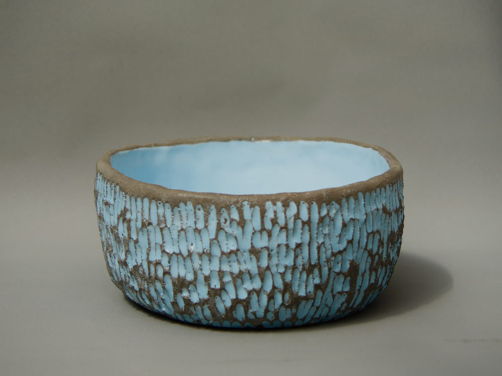 Blue Asymmetric Bowl | Drag&Drop