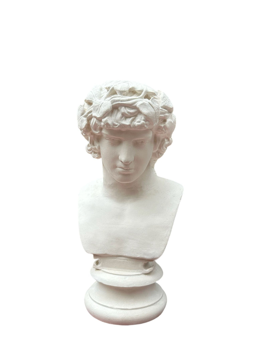 Antinous Büst 2 ürün görseli