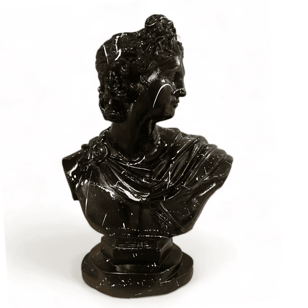 Black Bust of Apollo