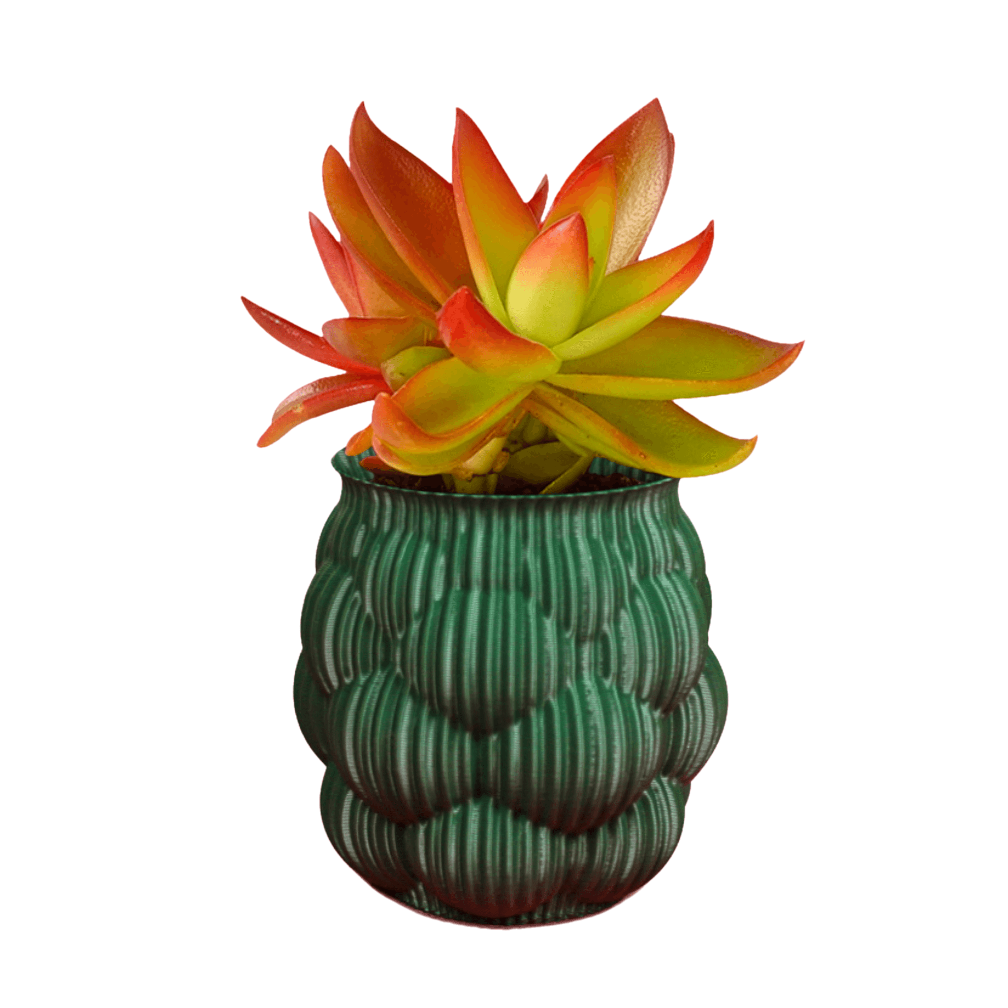 Drag&Drop transparent product image - BERRY FLOWERPOT