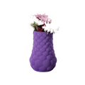 sari