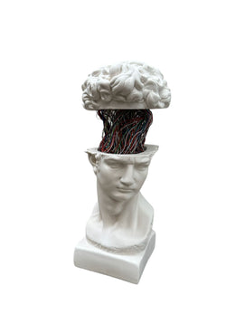 david
