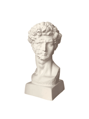 Design David Bust - Pixels Face Sculpture - vinterro