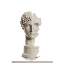 Drag&Drop transparent product image - Design Hermes Skull