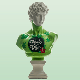 Design Plant Vibes David - vinterro