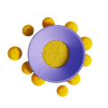 sari