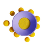 sari