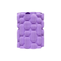 sari
