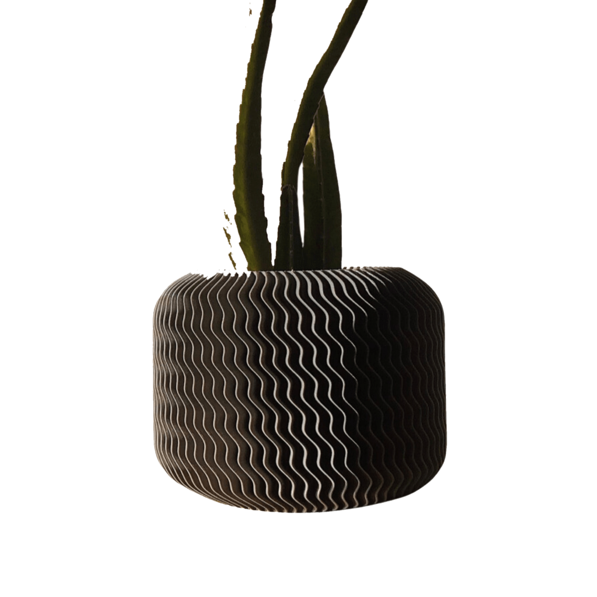 Drag&Drop transparent product image - Malibu Pot