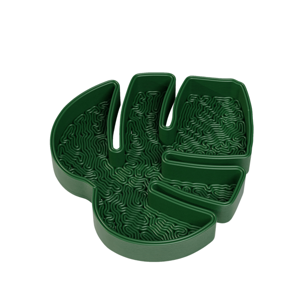 Monstera Leaf Jewelry Tray