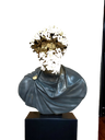 Default Title