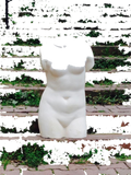 Default Title