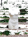 Default Title