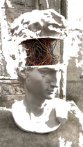 Default Title