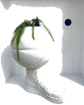 Default Title