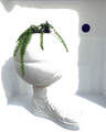 Default Title