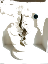 Default Title