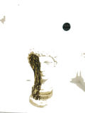 Default Title