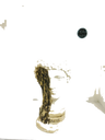 Default Title