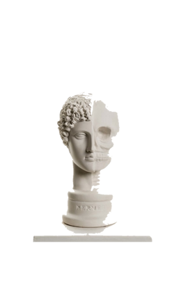 Drag&Drop transparent product image - Design Hermes Skull