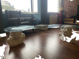 Drag&Drop transparent product image - Design Laocoön Sehpa