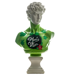 Drag&Drop transparent product image - Design Plant Vibes David