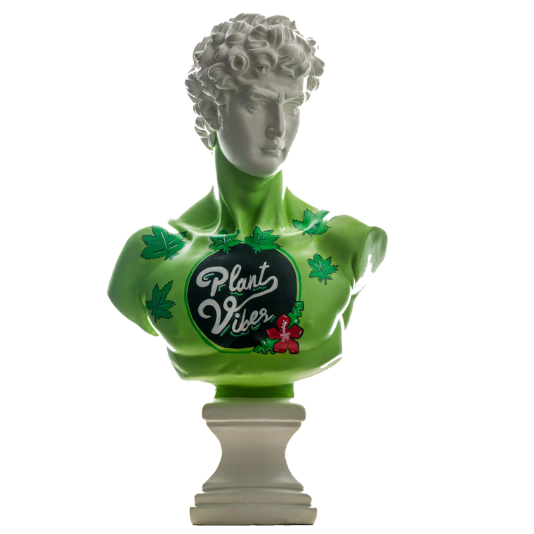 Drag&Drop transparent product image - Design Plant Vibes David