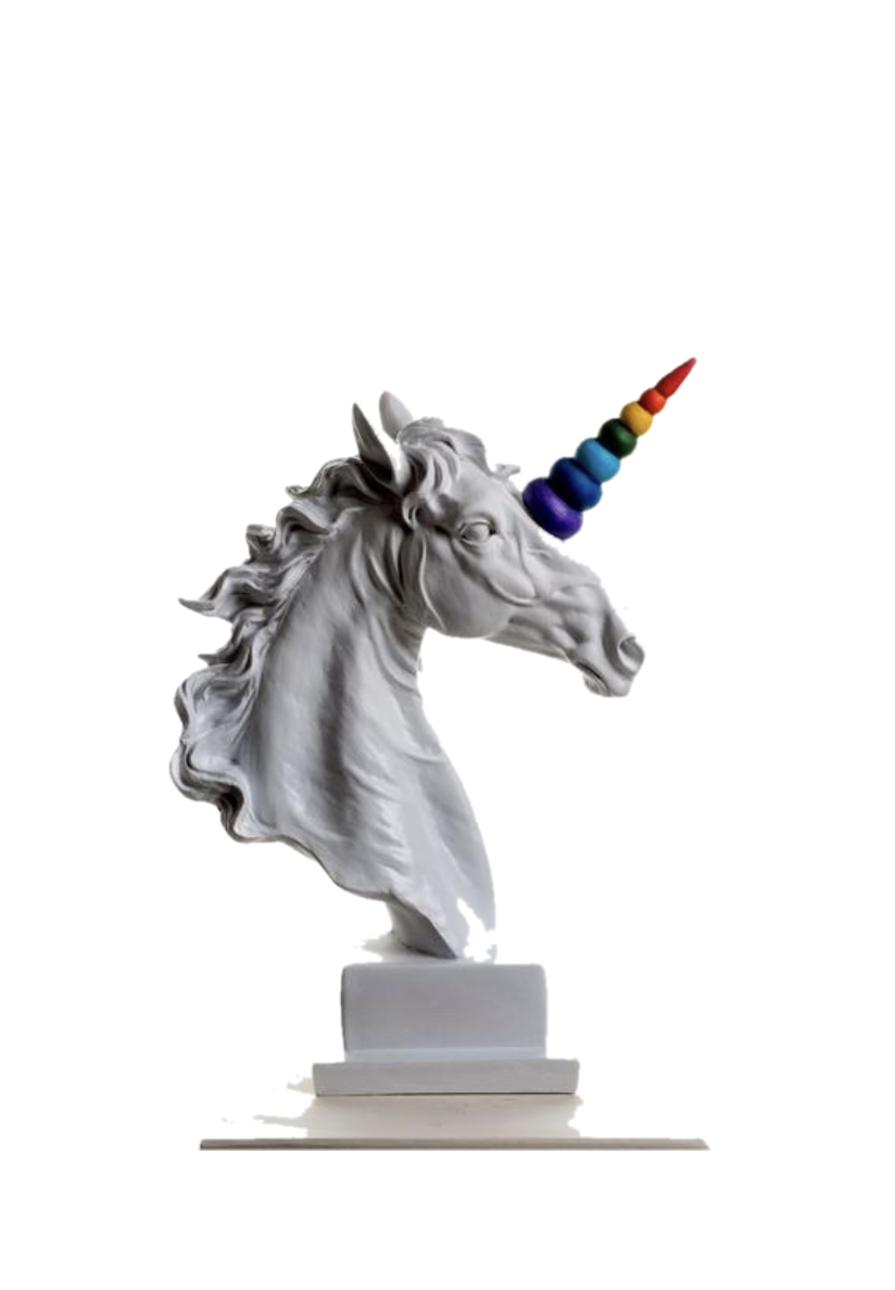Drag&Drop transparent product image - Design Unicorn Horse 2